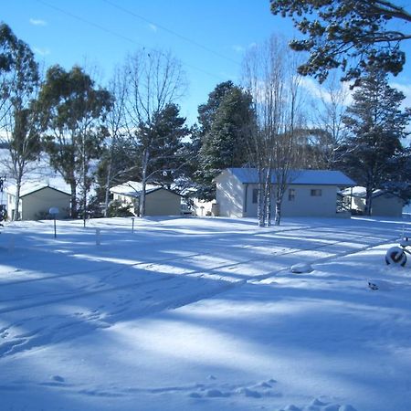 Rainbow Pines Tourist Caravan Park แอดามินาบี ภายนอก รูปภาพ