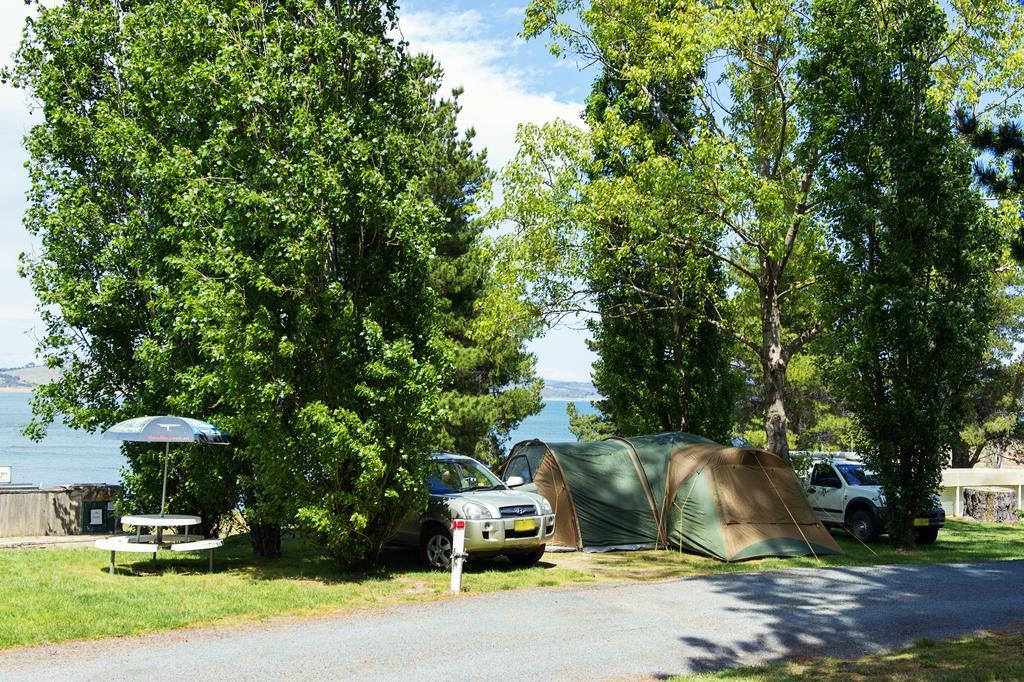 Rainbow Pines Tourist Caravan Park แอดามินาบี ภายนอก รูปภาพ