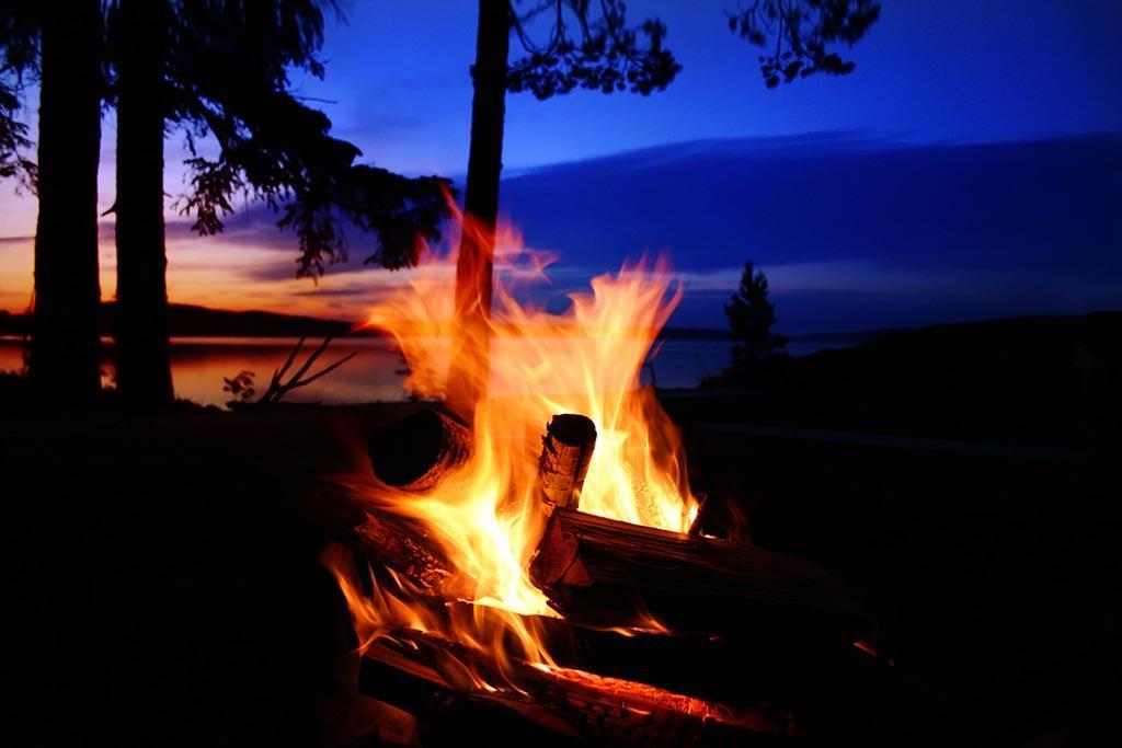 Rainbow Pines Tourist Caravan Park แอดามินาบี ภายนอก รูปภาพ
